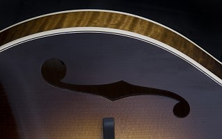 F5-Varnish Mandolin