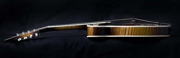 F5-Varnish Mandolin
